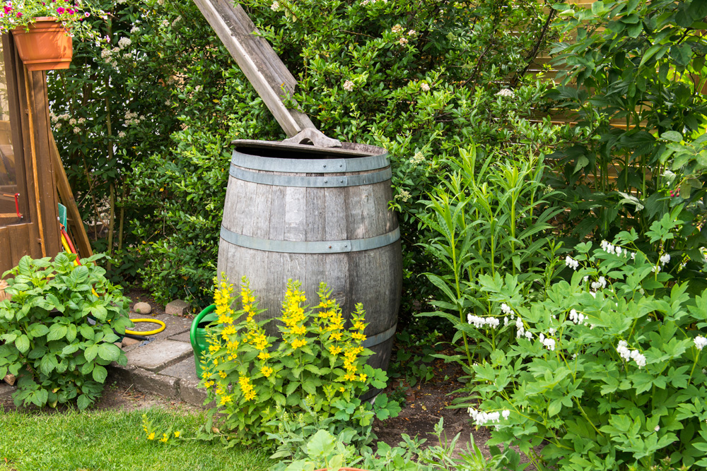 Rain barrel in a garden