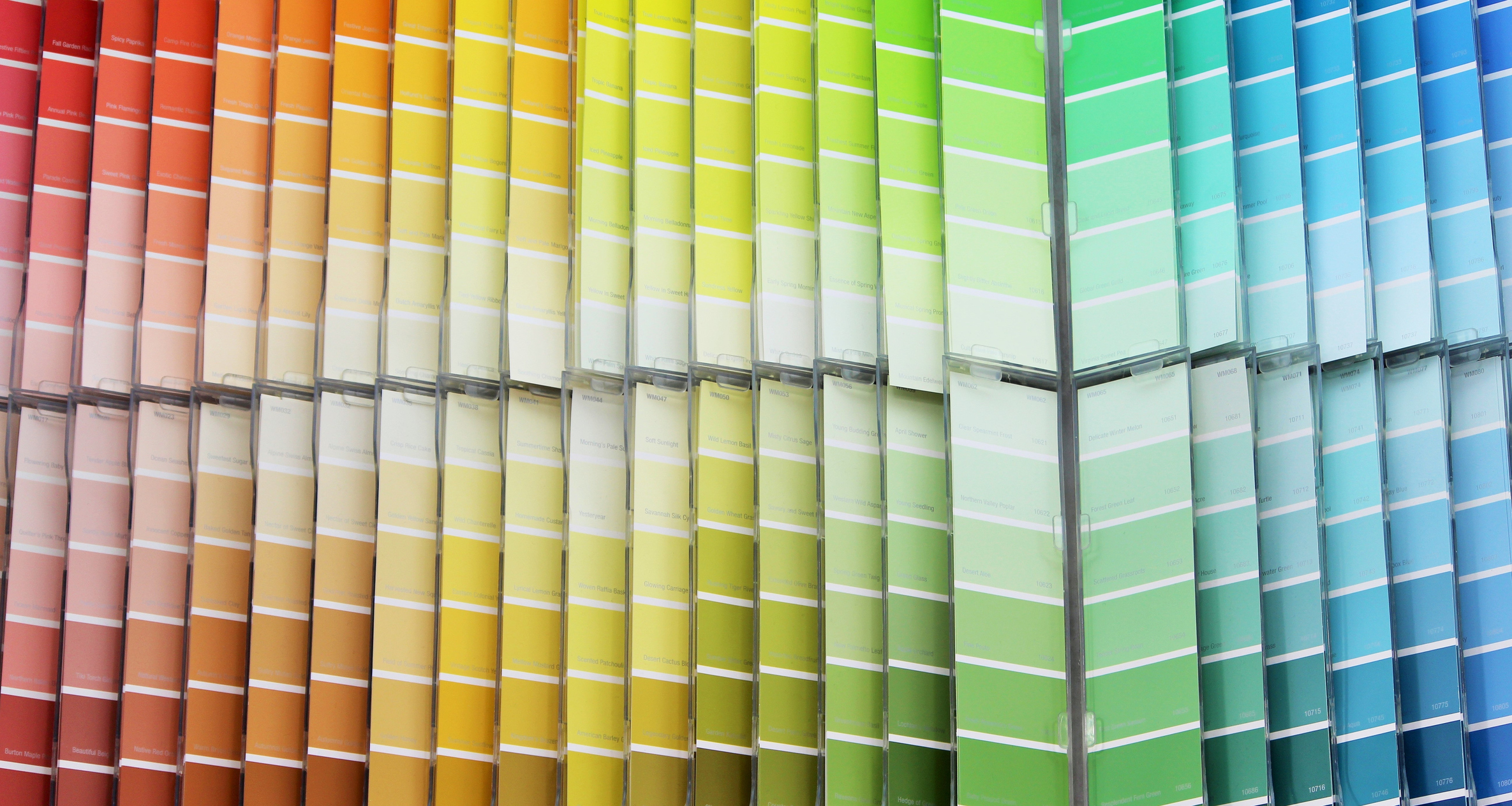 Paint options in hardware store