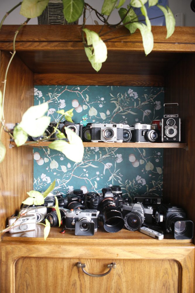 cameras on shelves