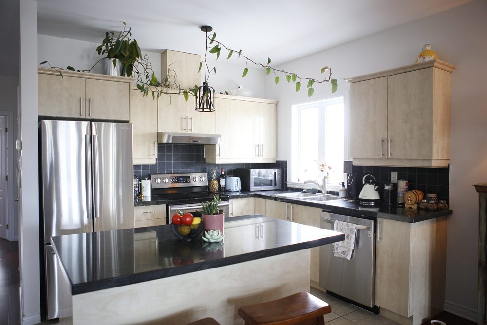kitchen with plant on ceiling