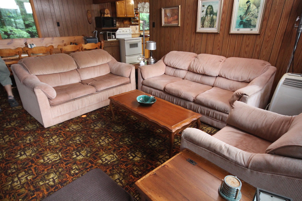 outdated living room with pink couches and patterned carpet