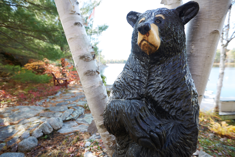 wooden bear carving in forest