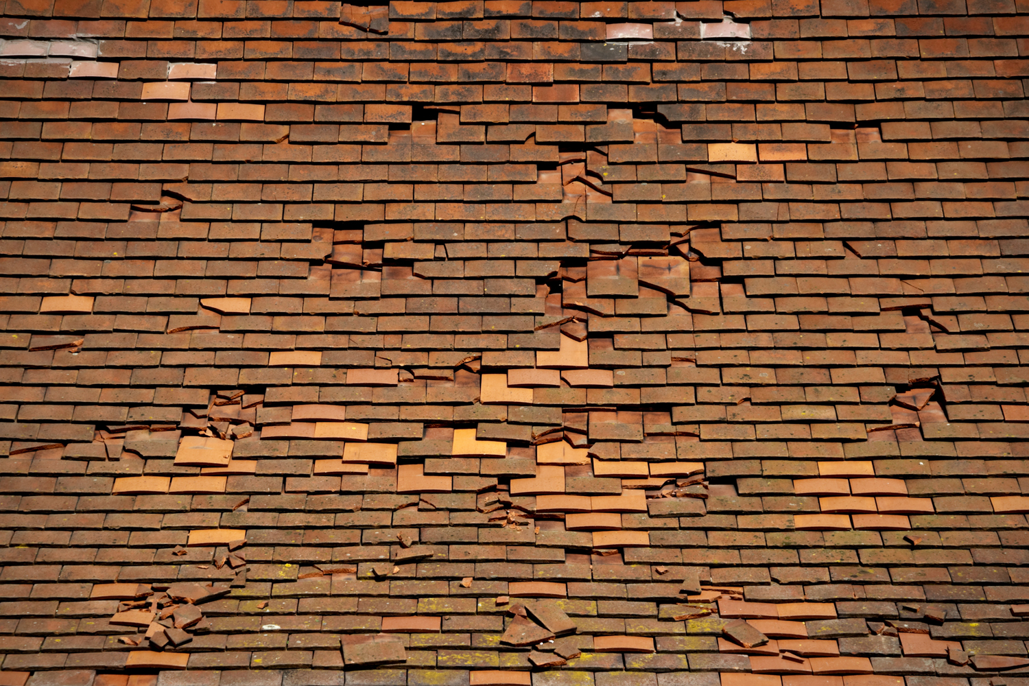 Roof shingles in disrepair