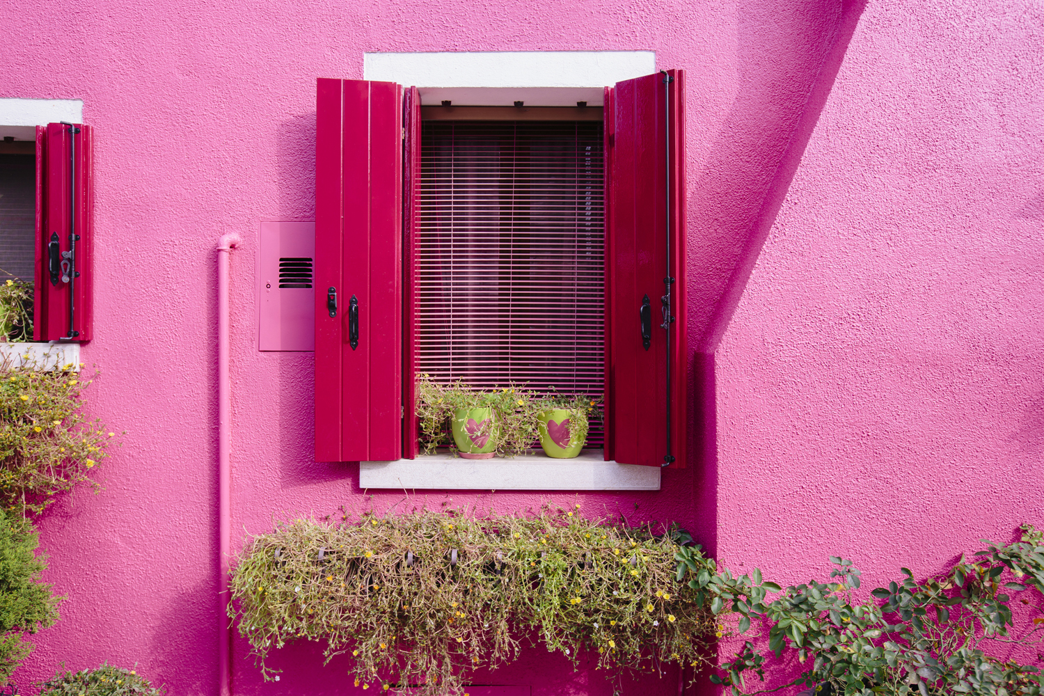 Hot pink home exterior