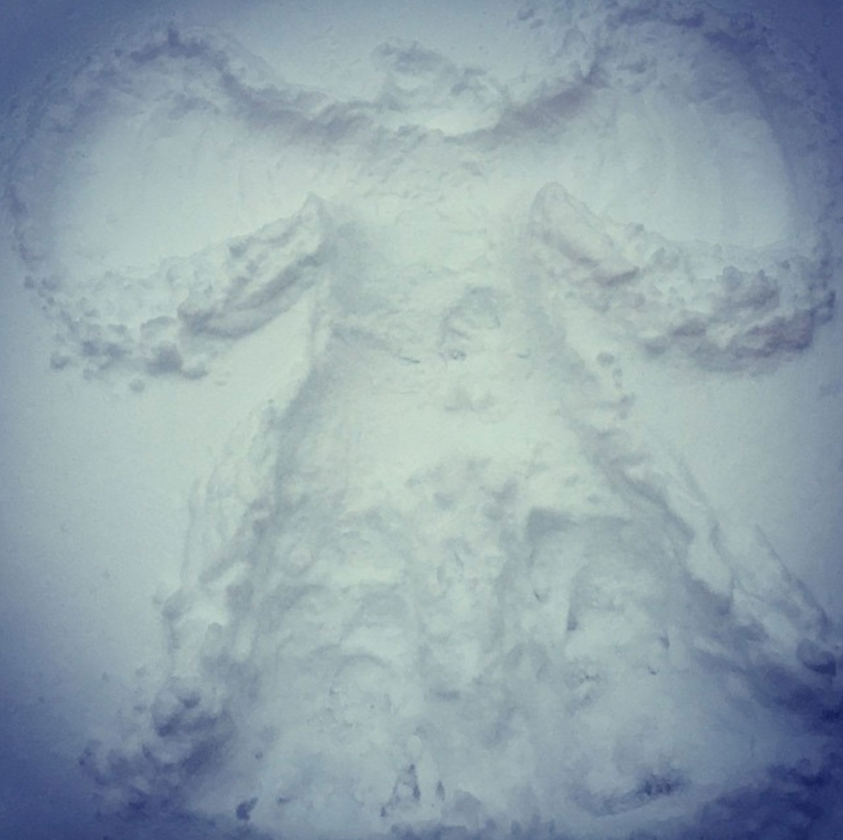 Snow Angel imprints