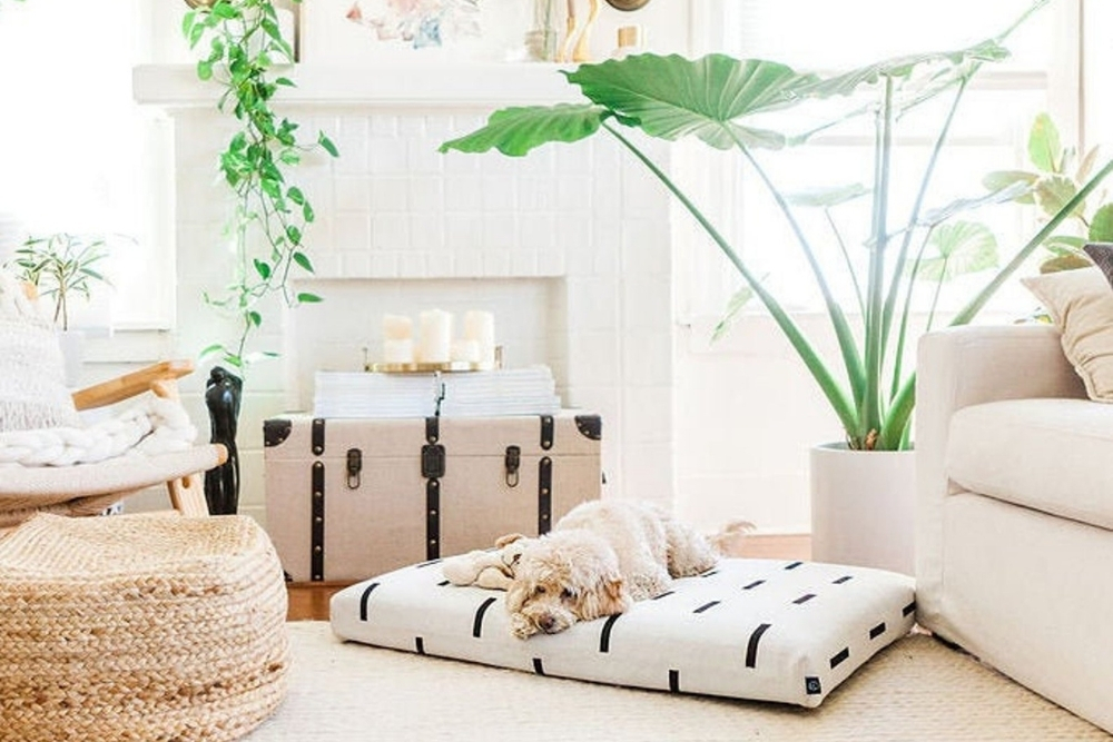 A dog bed made from white fabric and black stripes