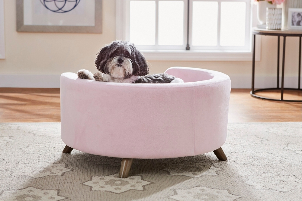 A small gray dog sitting on a dog bed with a pink barrel-style silhouette and flared tapered legs