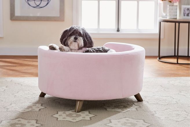 Stylish Dog Beds That Fit Any Home Or Style 2 ?width=656