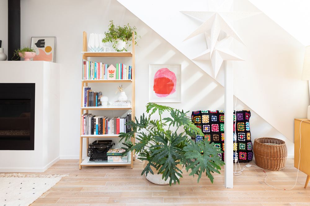 white room with ladder shelf and green plant