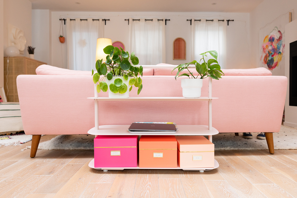 pink couch and white stand with bins and green plants
