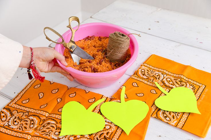 Materials for Tiffany Pratt's DIY bandana pumpkins