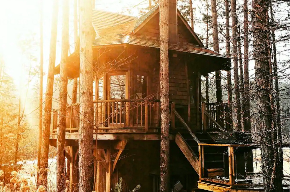 treehouse in forest