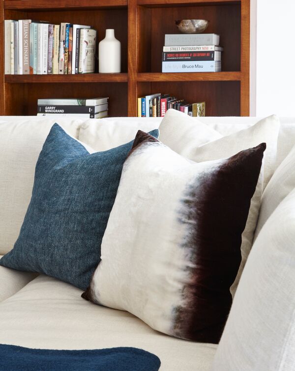 closeup of sofa cushions, one blue, one ombre black and white, bookshelf behind