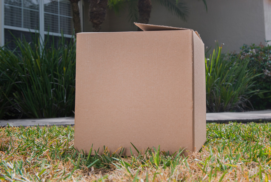 Cardboard box on lawn