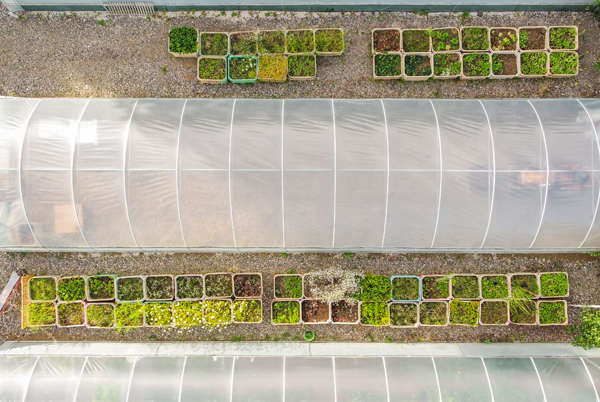 Polytunnel from above