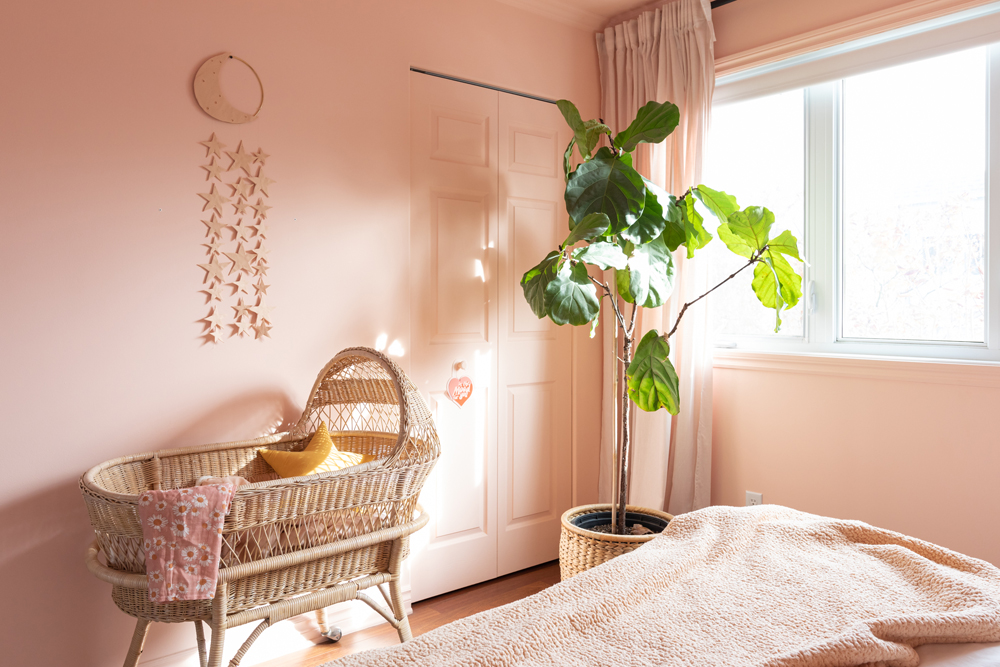 corner of pink bedroom with wicker basinet and green plant
