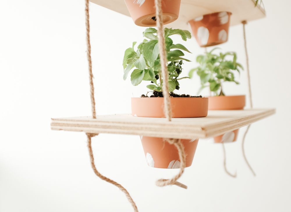 Vertical garden hanging DIY idea