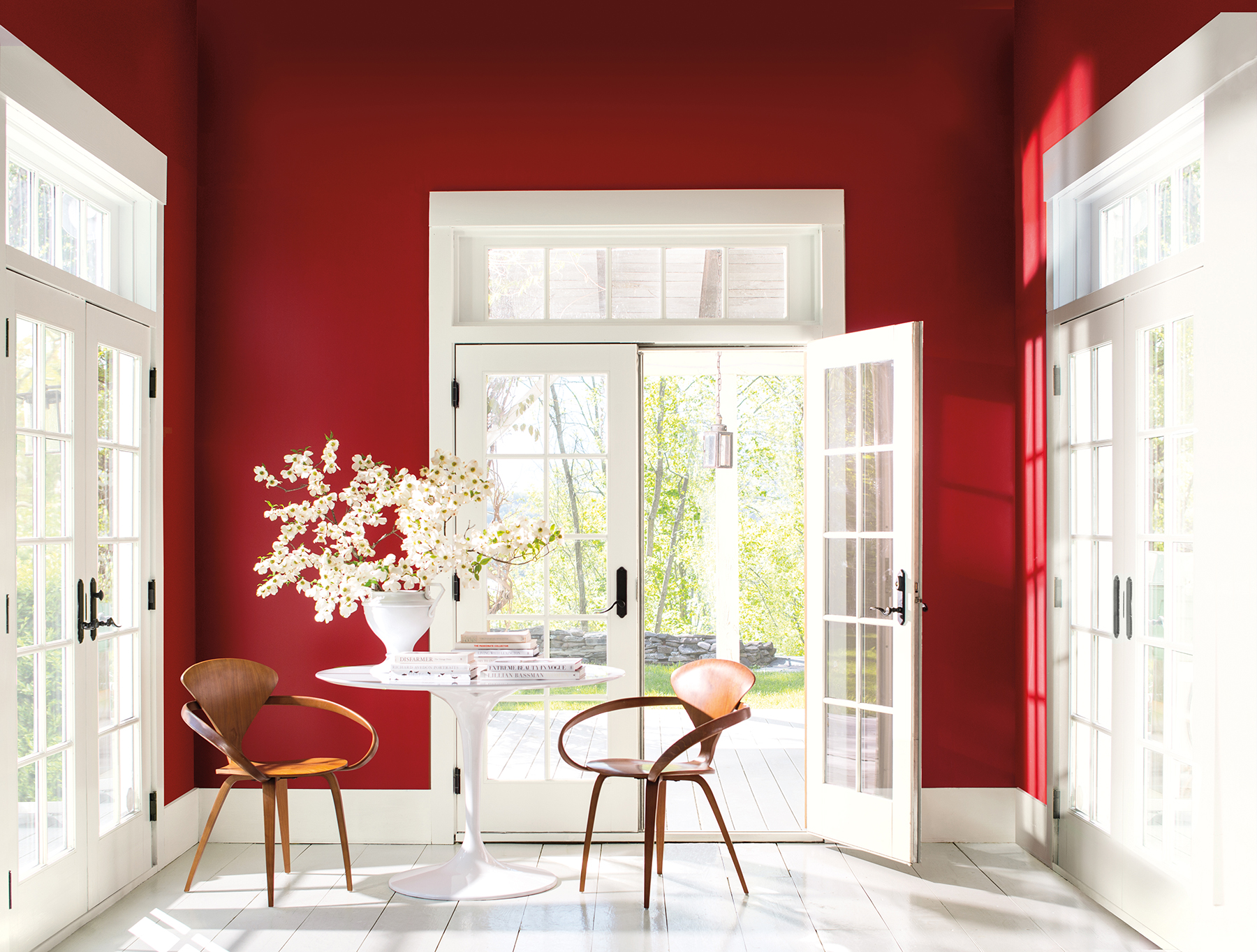 Red wall in sun room