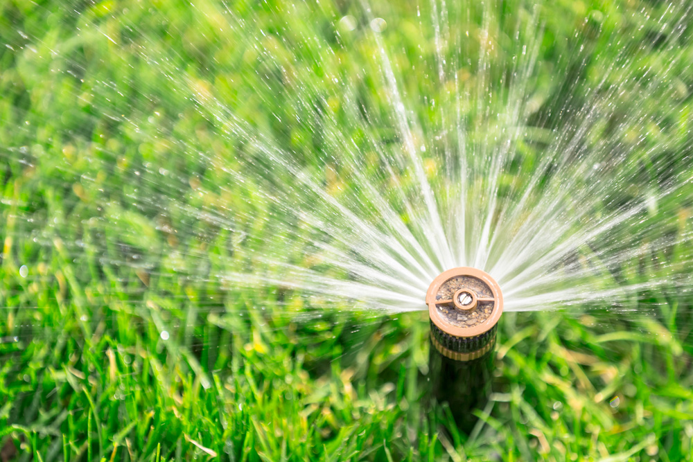 Automatic sprinkler watering a lawn
