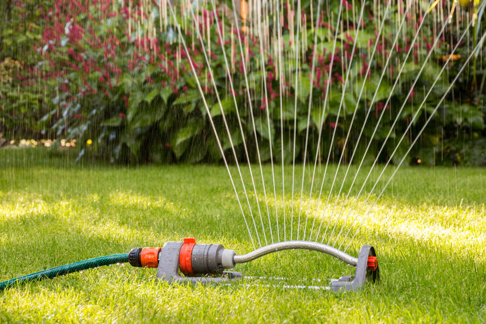 Watering the yard