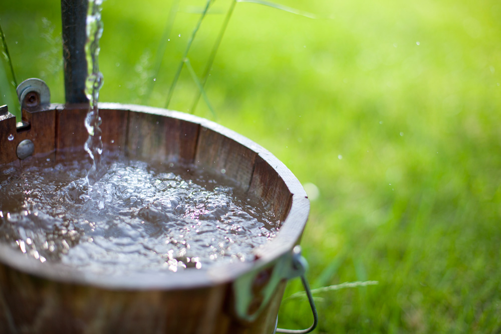 Bucket of water in a garden