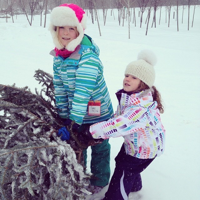 Sarah Richardson's kids carry a freshly cut pine tree to the car for Christmas.