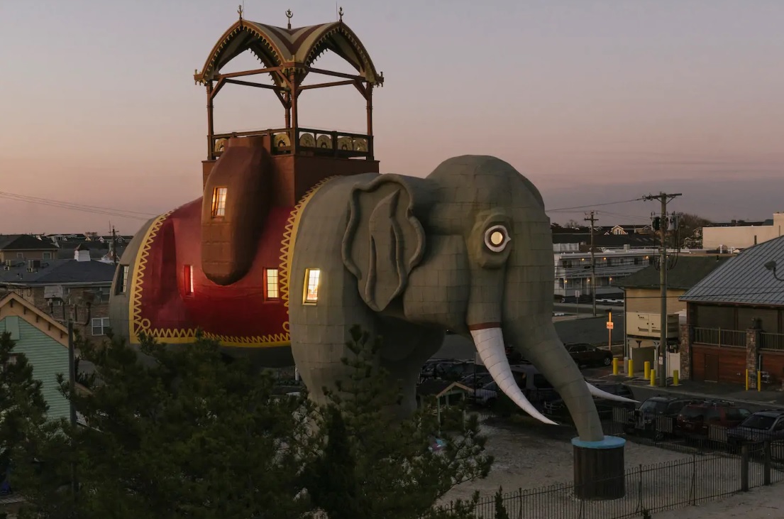 Elephant Airbnb stay