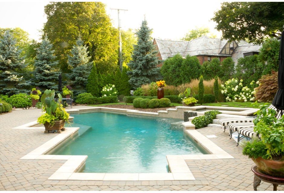 A backyard geometric pool surrounded by a wide variety of greenery
