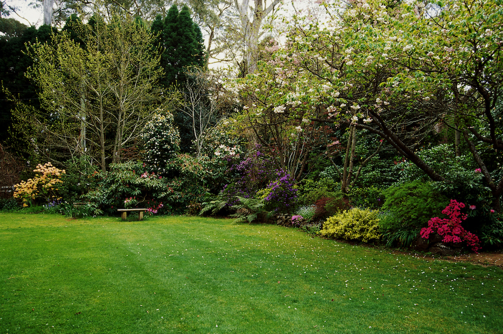 lawn with mixed foliage borders and bench