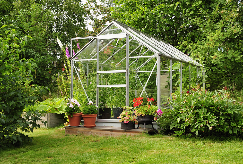 A backyard with a small, plant-filled greenhouse with glass panels.