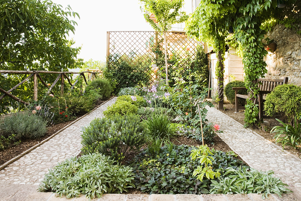 Shot of backyard garden partially fenced in by a lattice trellis with vining plants.