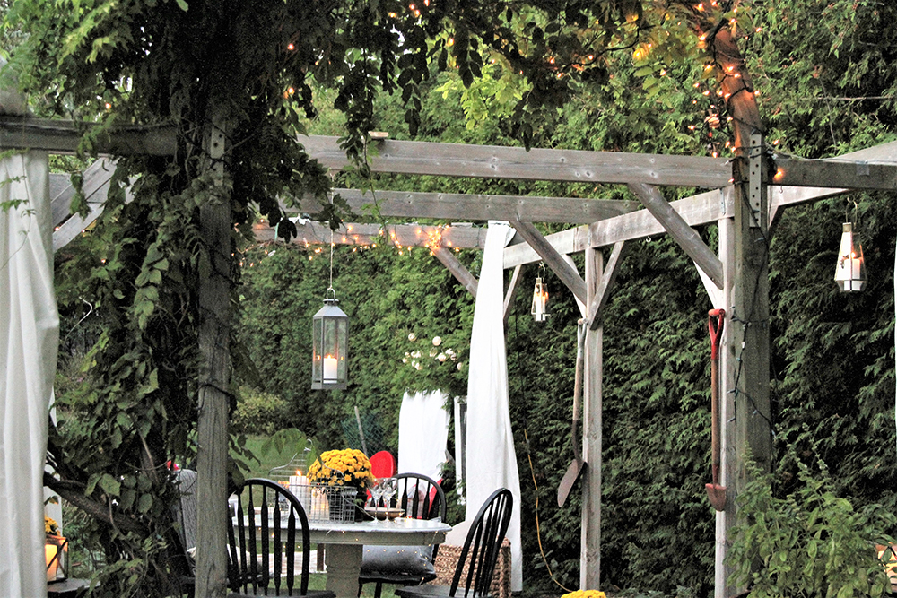 Backyard pergola with white curtains hanging from it. A dining set is inside the pergola.