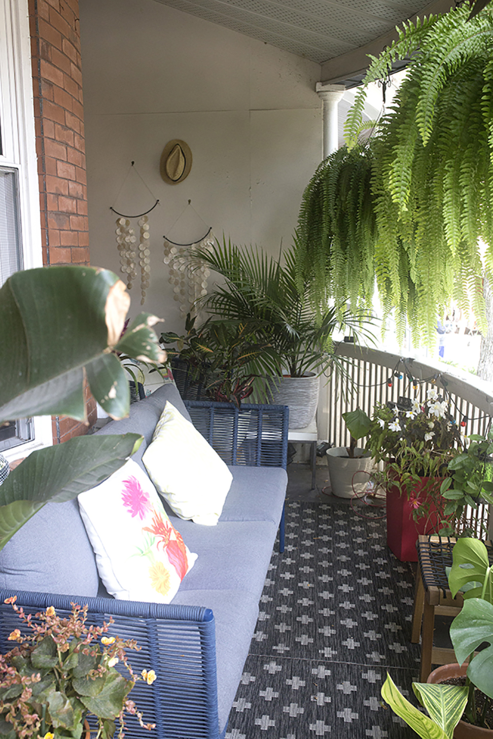 A balcony with many plants around. Hanging from the ceiling are two large ferns.