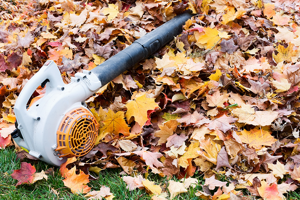 Leaf Blower on a Pile of Leaves. Fall Clean-Up