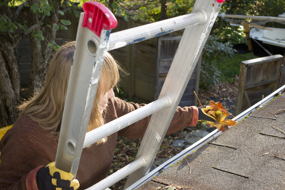 Autumn Gutter or Eavestrough Cleaning by a Senior Woman