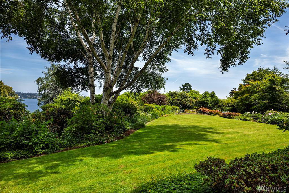 Pristine green lawn and surrounding trees and shrubbery in lakefront backyard