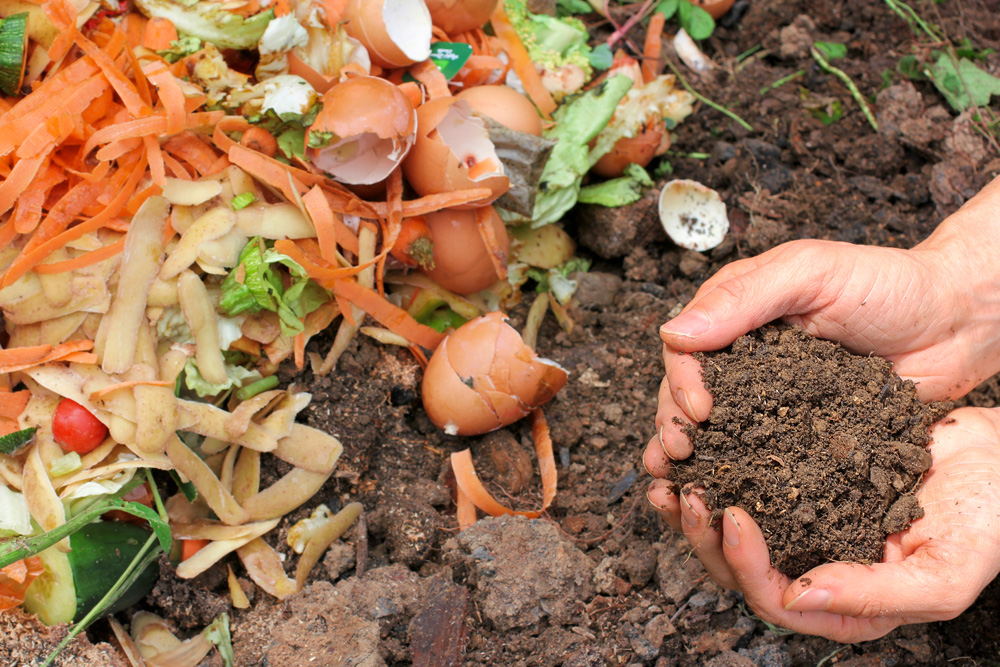 Food scraps and compost in a person's hand