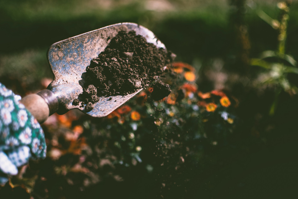 A gardening trowel with dirt