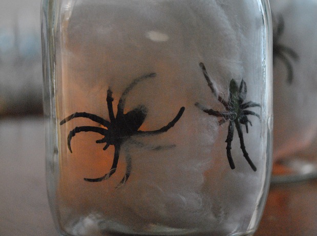 Spider Jar 4