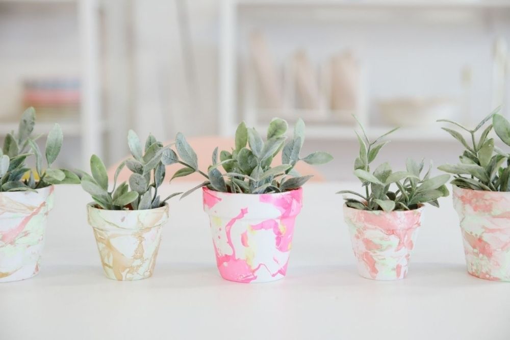 Five marble planters with small green plants.