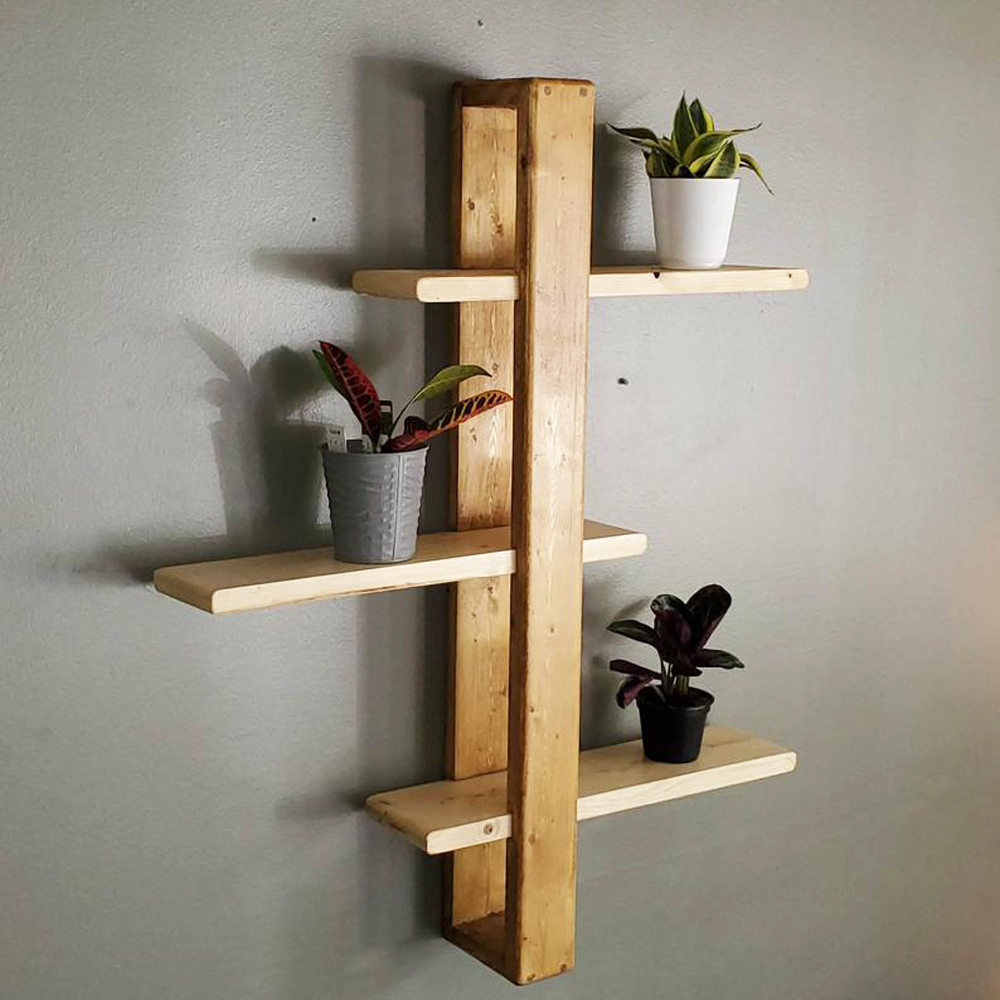Handmade shifting wooden shelves with various plants and succulents on top