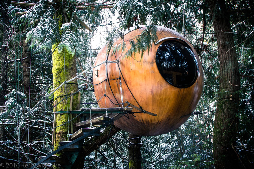 A circular wooden treehouse pod up in the trees on Vancouver Island