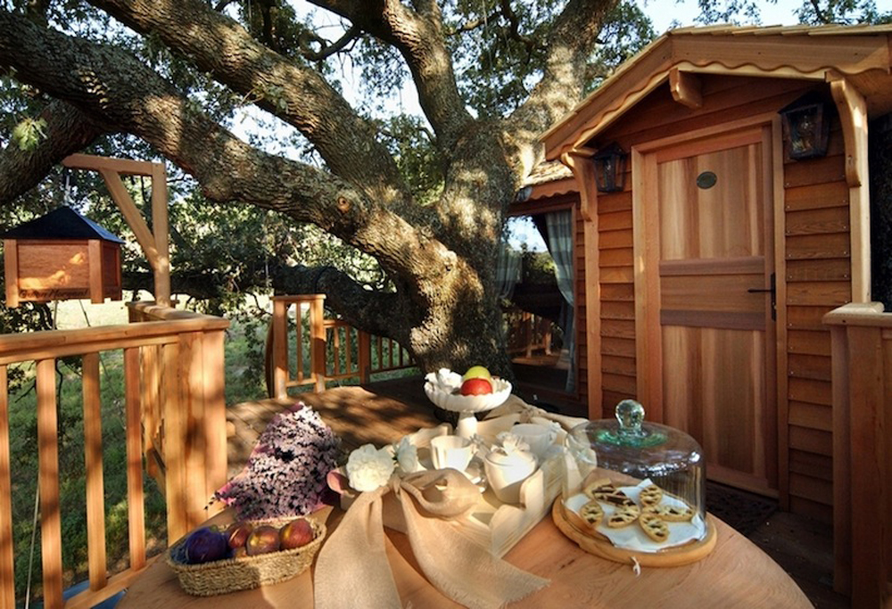 Breakfast on the rustic balcony of the treehouse