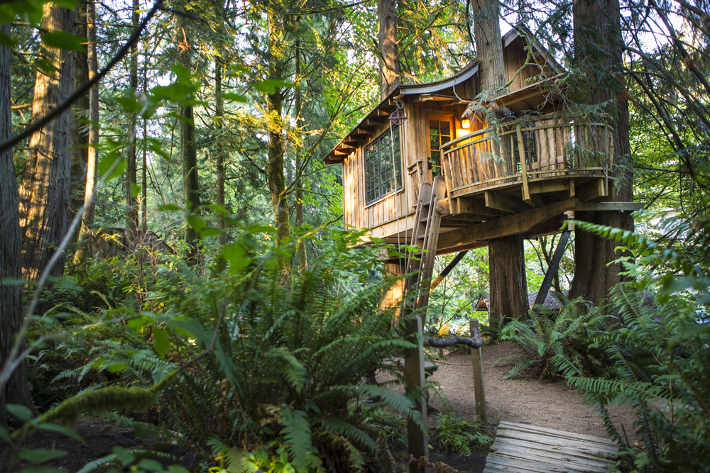 A wooden treehouse with ladder leading up to the front door