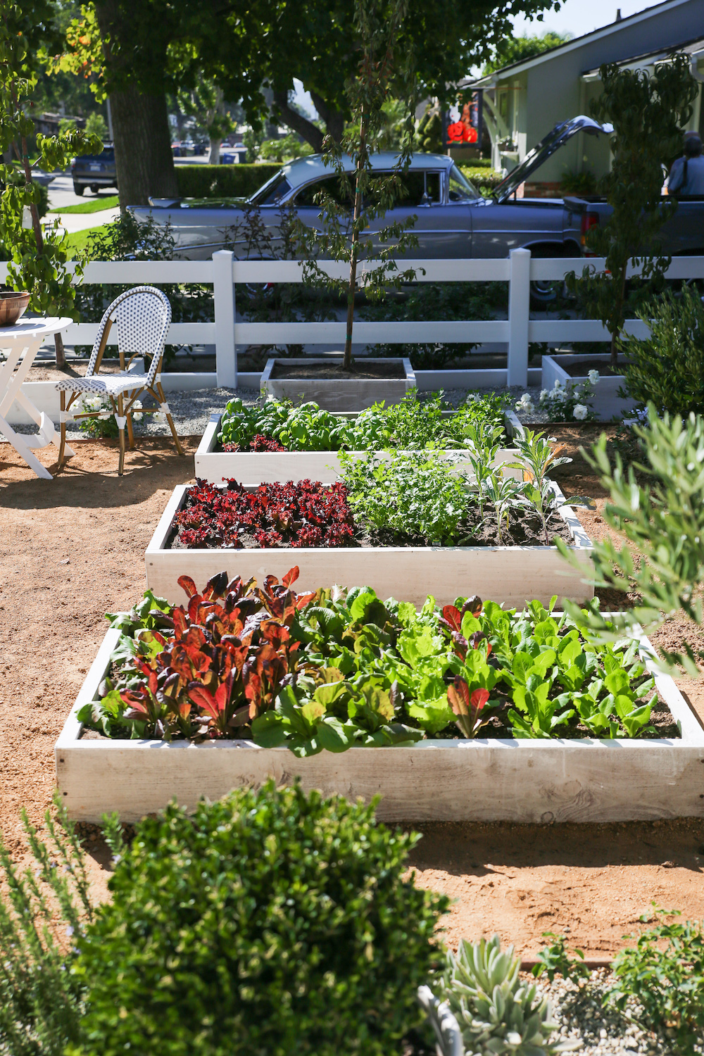 Plant boxes help create an instant garden