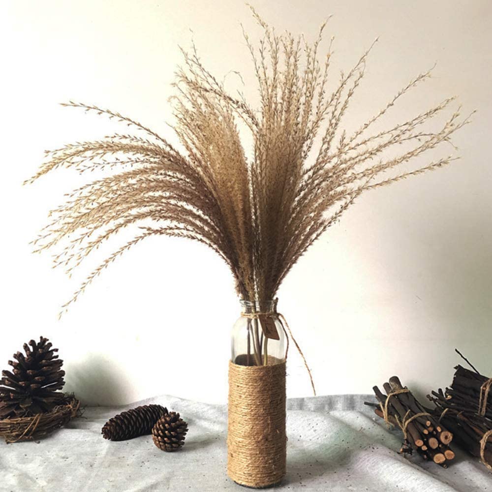 small vase with pampas grass