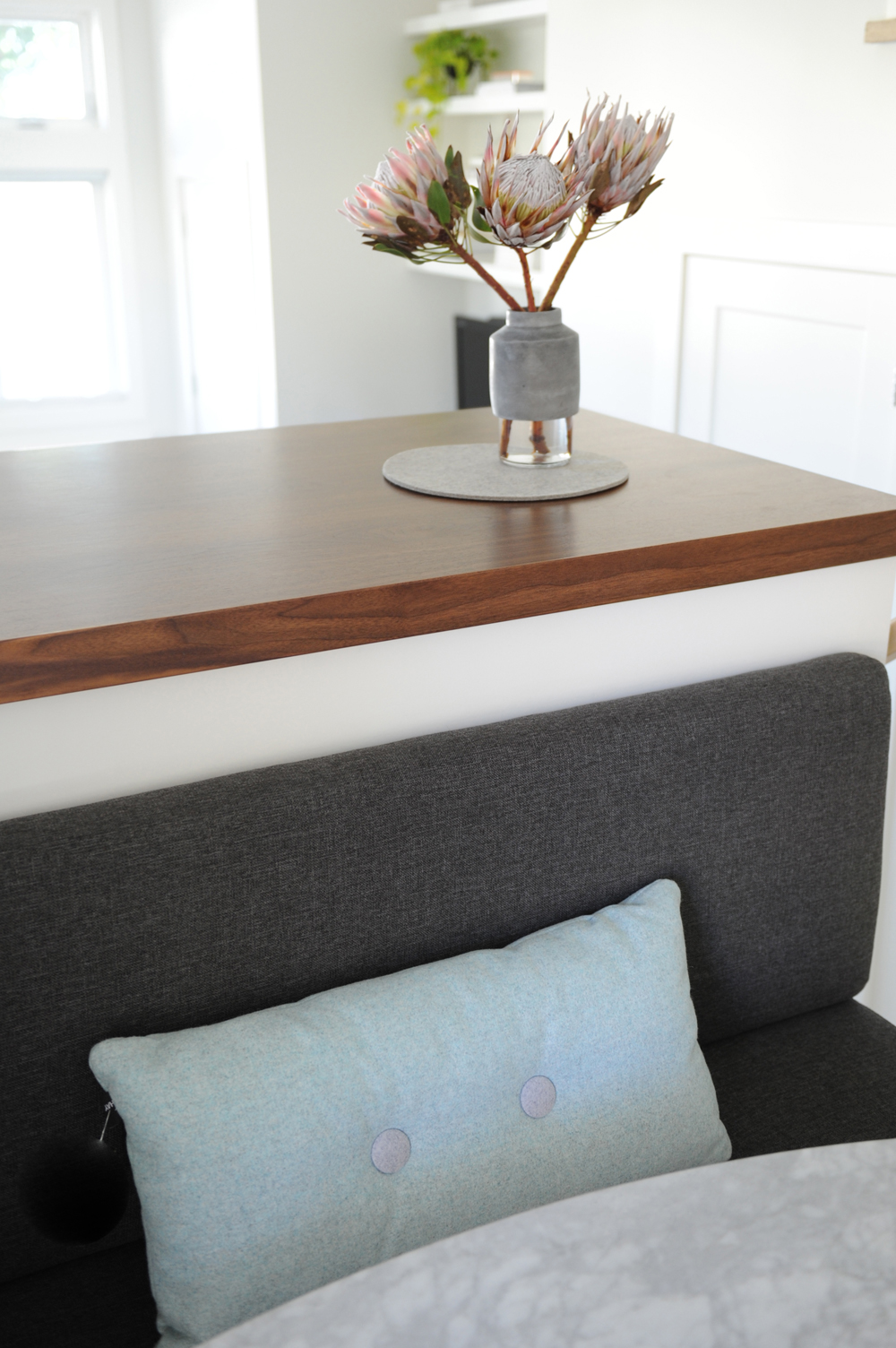 three protea stems, wood top counter, grey fabric bench with blue cushion