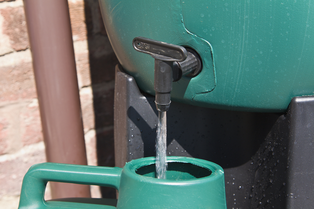 green watering can being filled from rainwater system
