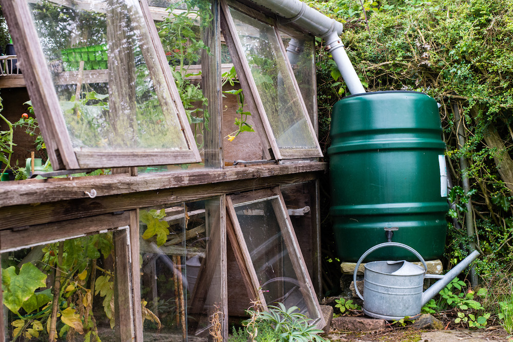 rainwater collection system beside greenhouse