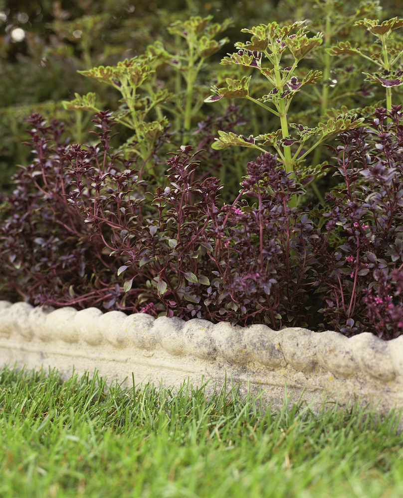 grey stone edging in front of purple and green garden